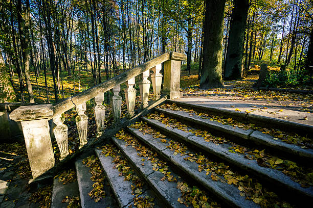 古代ステアズの公園 - footpath autumn stone old ストックフォトと画像