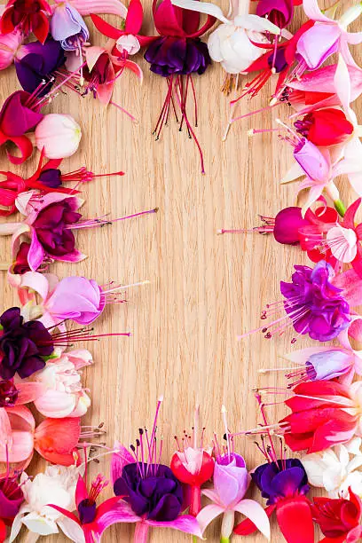 fuchsia flower wreath with place for your text or image on wooden background, card for summer or spring designs, closeup