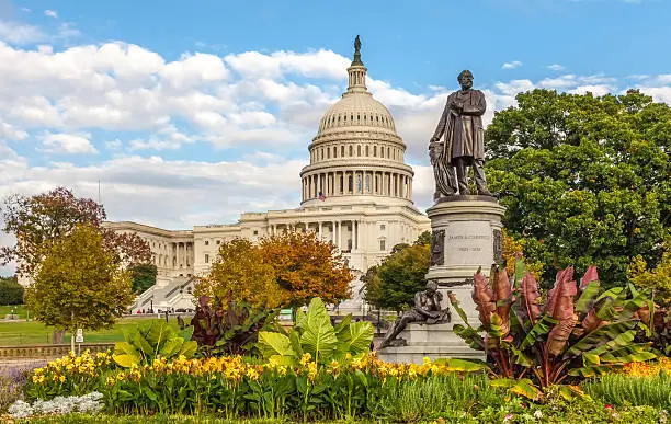 Wide angle view of the James Garfield statue and flowers in late summer autumn with the West facade of the U.S. Capitol and grounds in Washington, DC.