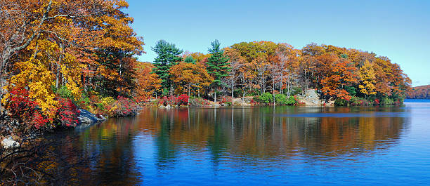 istock Autumn woods with lake panorama 497017559
