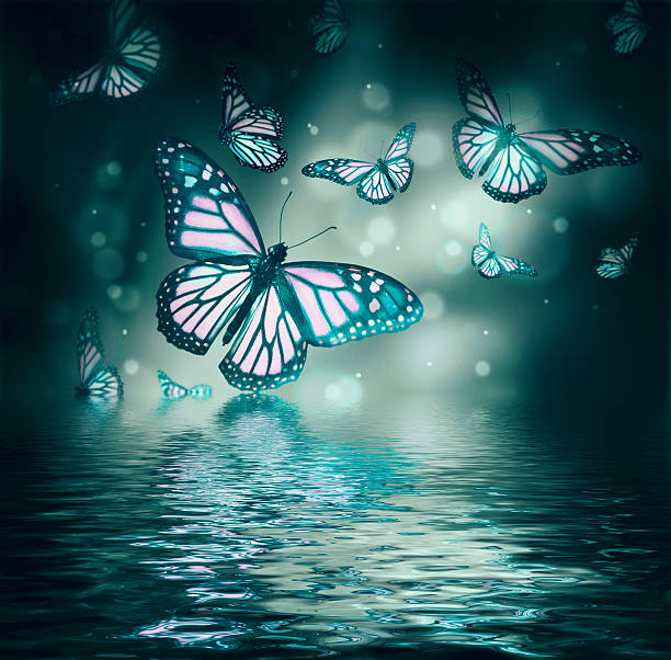 istock Bouquet of delicate roses and butterfly 497018479