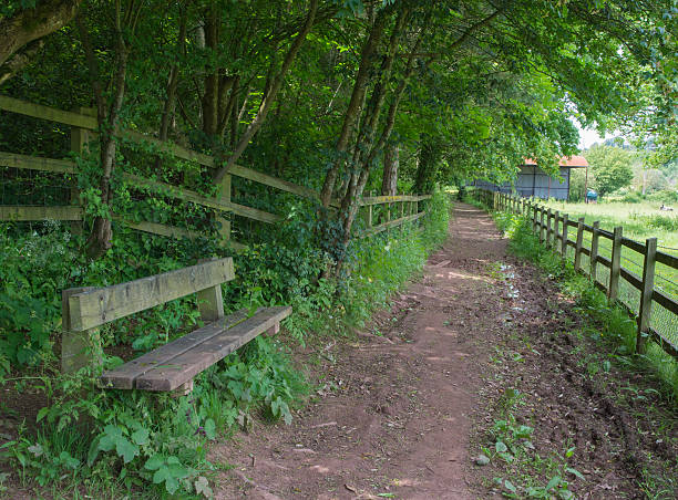 Dissapearing Bench stock photo