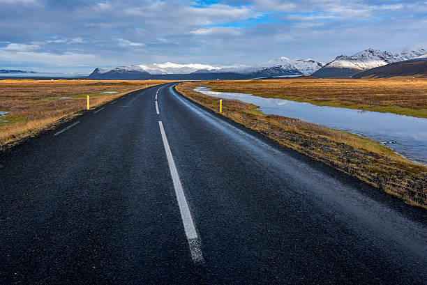 istock Road through lava field, near village Vik 497021446