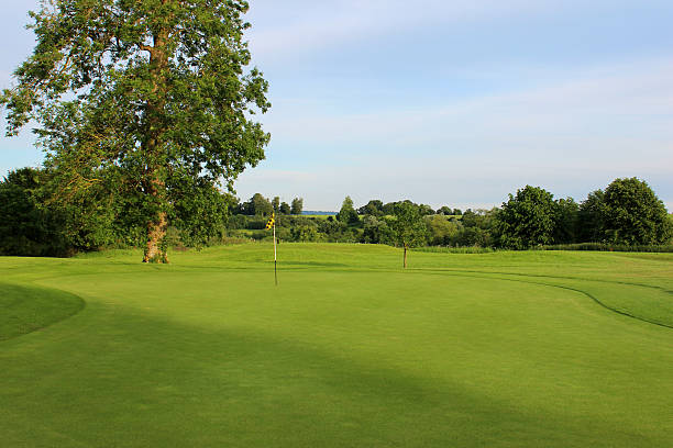 istock Putting green, fine grass, flag and hole on golf course 497021449