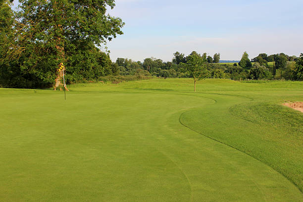 istock Putting green, fine grass, flag and hole on golf course 497021459