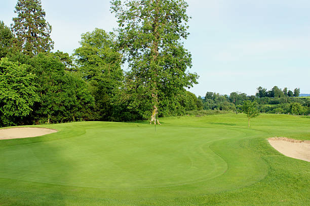 istock Putting green, fine grass, bunkers, flag, hole on golf course 497021461