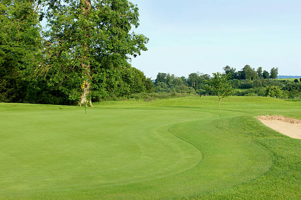 istock Putting green grass and flag at hole on golf course 497021463