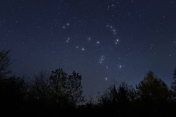 constellation of orion in real night sky, the hunter - orion bulutsusu stok fotoğraflar ve resimler