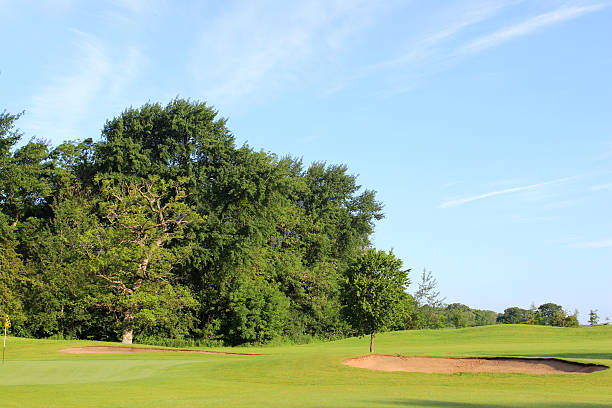istock Image of deciduous trees forming boundary / hazard at golf course 497021527