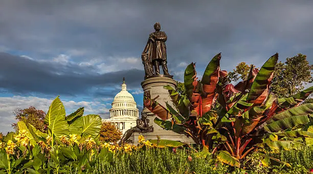 Wide view of the flower display surrounding the James A. Garfield statue with the U.S. Capitol in the background. Summer in Washington, DC.