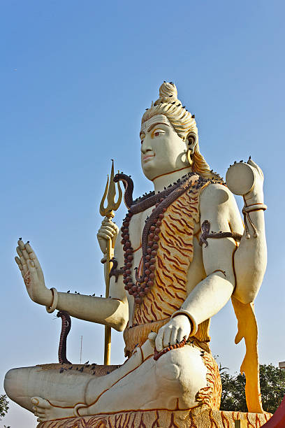istock Lord Shiva Nageshwar 497023256