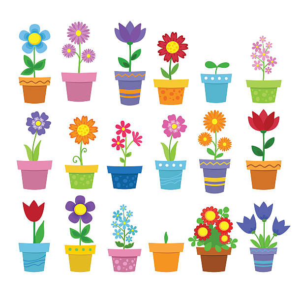 꽃을 pots-클립 아트 - white background plant flower herb stock illustrations