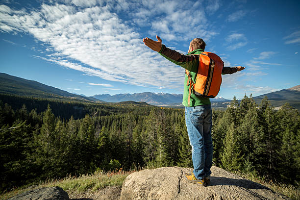 istock Cheering hiker on mountain top enjoying nature 497024740