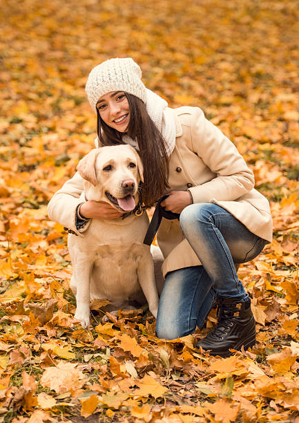 istock Walk in the autumn park 497026428