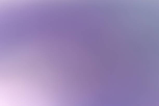 istock colorful blurred backgrounds / purple background 497027128