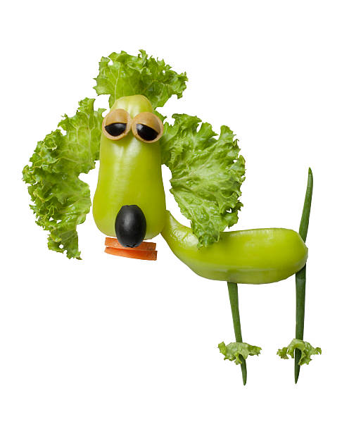 istock Funny poodle made of fresh vegetables 497027240