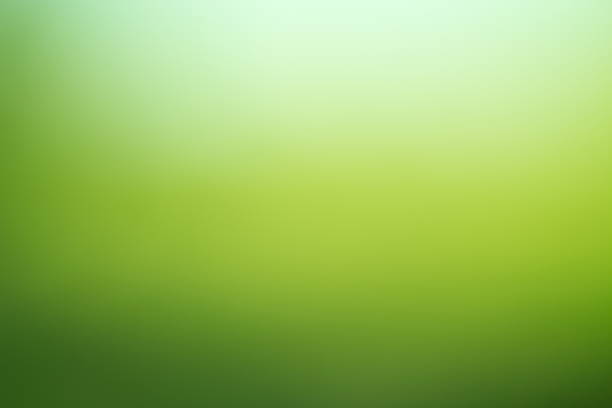istock colorful blurred backgrounds / Green background 497027268