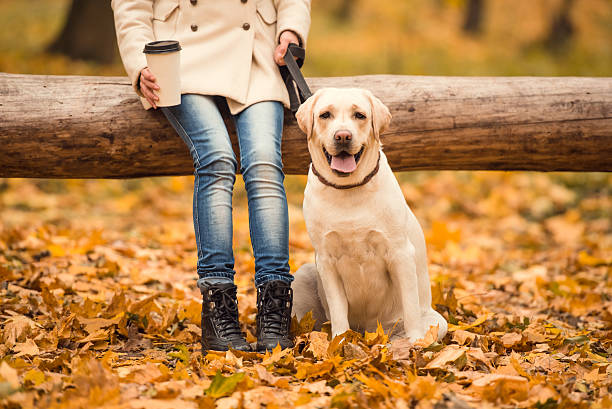istock Walk in the autumn park 497027332
