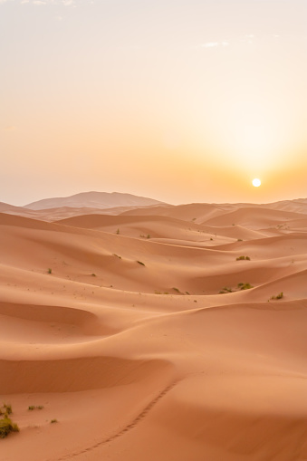 Sunrise in the Sahara desert.