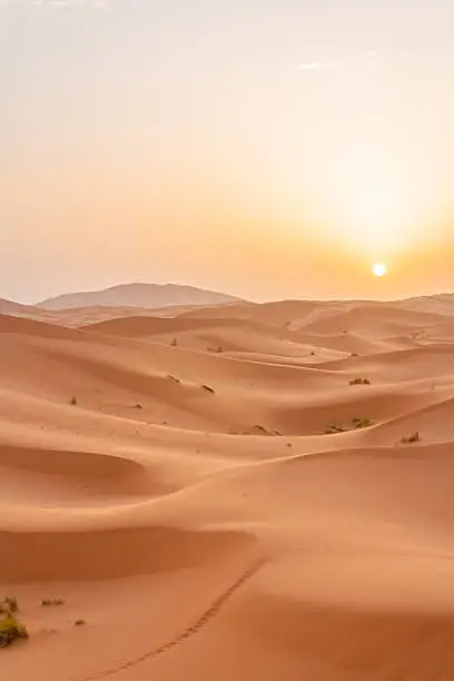 Photo of Sunrise in Sahara