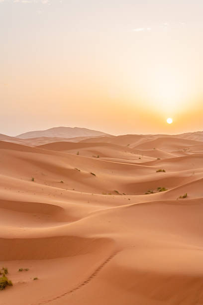 wschód słońca w sahara - sahara desert zdjęcia i obrazy z banku zdjęć