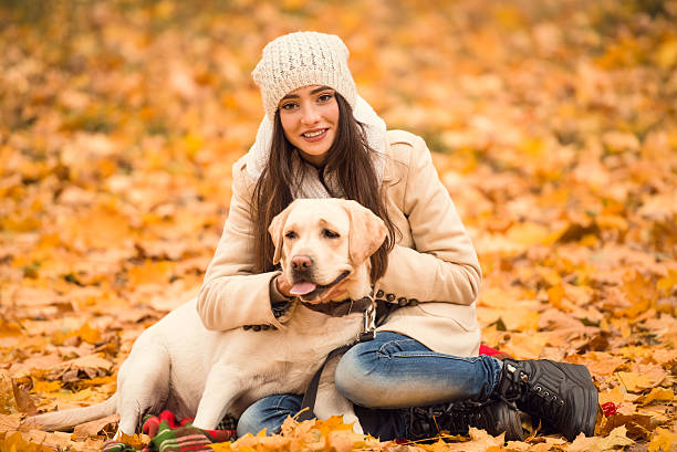 istock Walk in the autumn park 497027910