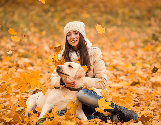 istock Walk in the autumn park 497027978