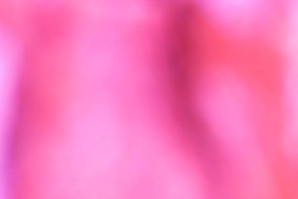 istock colorful blurred backgrounds / pink background 497028116