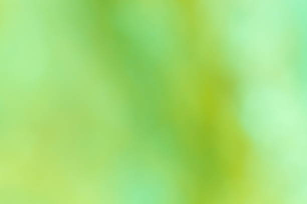istock colorful blurred backgrounds / Green background 497028178
