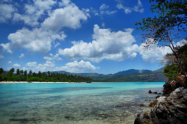 istock Virgin beach, Samana peninsula, Dominican Republic , playa rincon 497029874