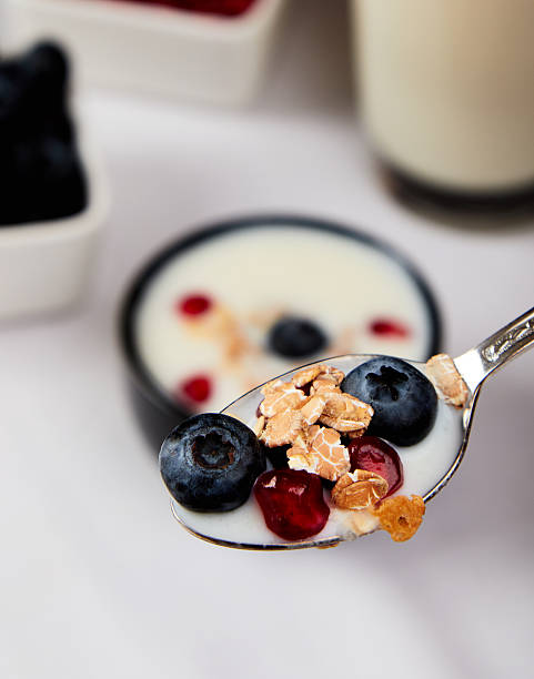 istock yogurt with cereals, blueberry and pomegranate 497030666