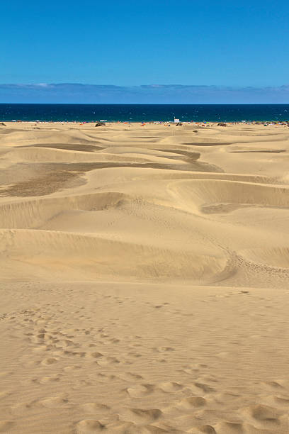 istock Maspalomas Gran Canaria Desert Sand Dunes 497031220