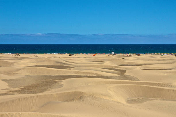 istock Maspalomas Gran Canaria Desert Sand Dunes 497031486