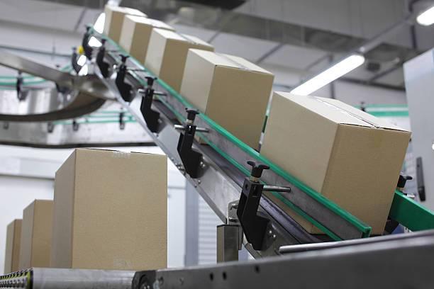 Cardboard boxes on conveyor belt in factory stock photo