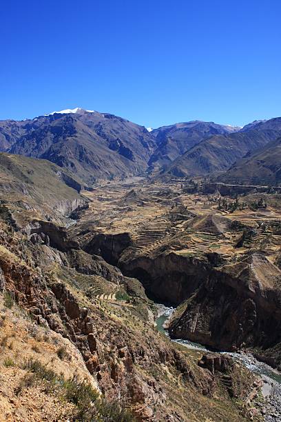 istock Colca Canyon, the deepest canyons in the world, Peru 497036247
