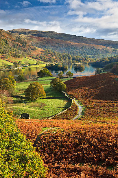 Rydal Water A view looking over Rydal Water on an Autumn morning english lake district stock pictures, royalty-free photos & images