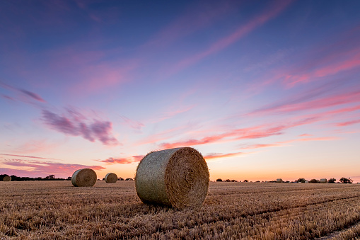 Straw Bales in a field at sunset on a summers evening.
