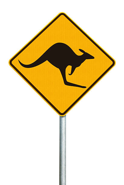aussie känguru-warnschild - marsupial animal vertical kangaroo stock-fotos und bilder