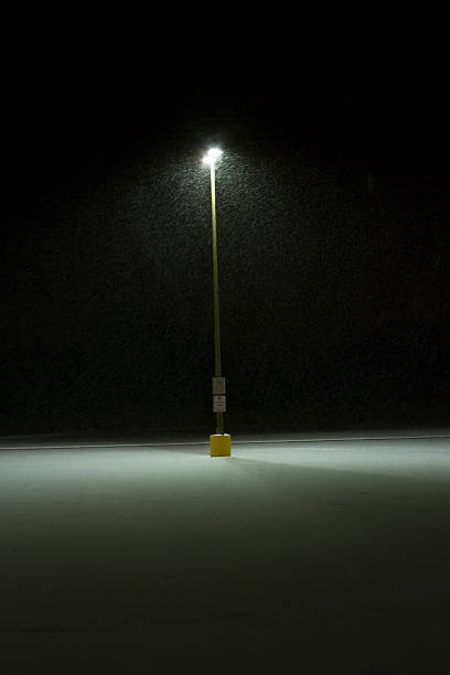 istock Streetlight in the snow 497039125