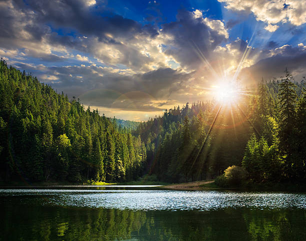 istock pine forest and lake near the mountain at sunset 497039865