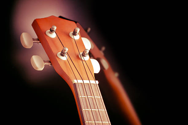 istock close up and focus at ukulele neck 497041715
