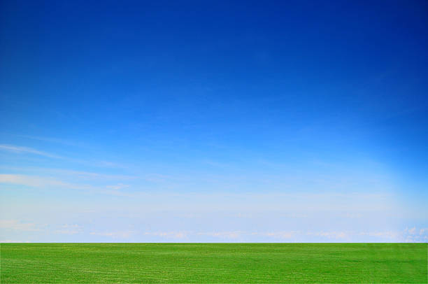 istock Green Grass Field and Blue Sky 497042411