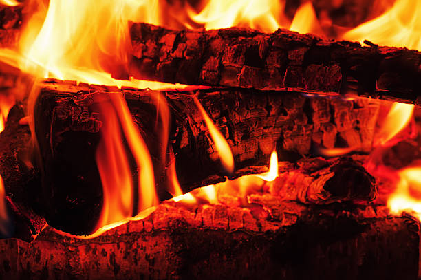 istock Fireplace with birch firewood and flame. 497042501
