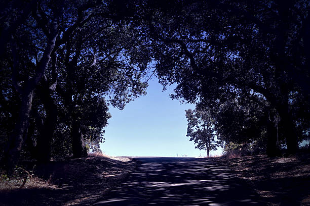 A road with light at the end