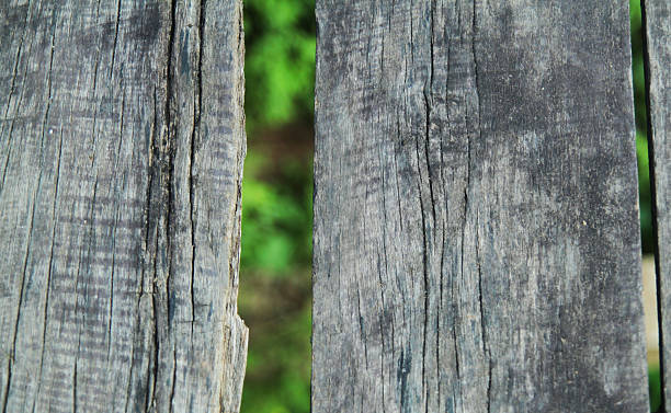 istock Wood plank and leaves 497055830