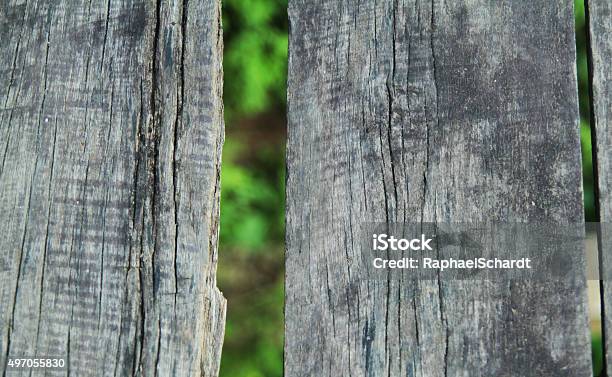 Wood Plank And Leaves Stock Photo - Download Image Now - 2015, Abstract, Branch - Plant Part