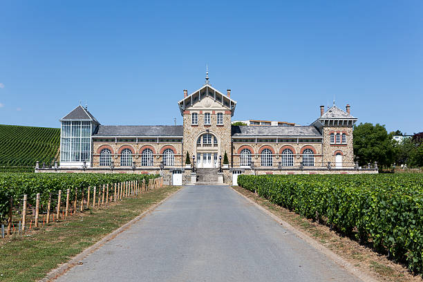 Moet & Chandon Vineyards, France Champagne House Epernay, France - July 16, 2015: Moet & Chandon vineyards is one of the world's largest champagne houses.  Its vineyards are located throughout the Champagne region.  The Champagne growing region is famous for its quality and prestigious brands. moet chandon stock pictures, royalty-free photos & images