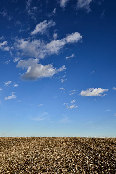 istock Farmers Field After The Harvest 497058778