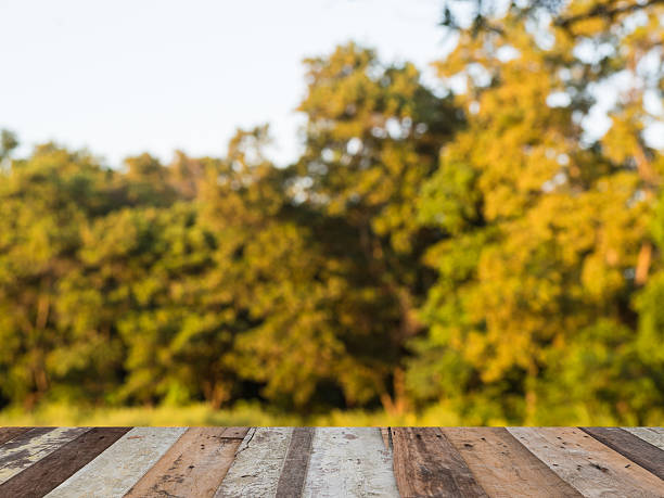 istock Autumn blurred backgroud, yellow trees with wood texture floor 497059500