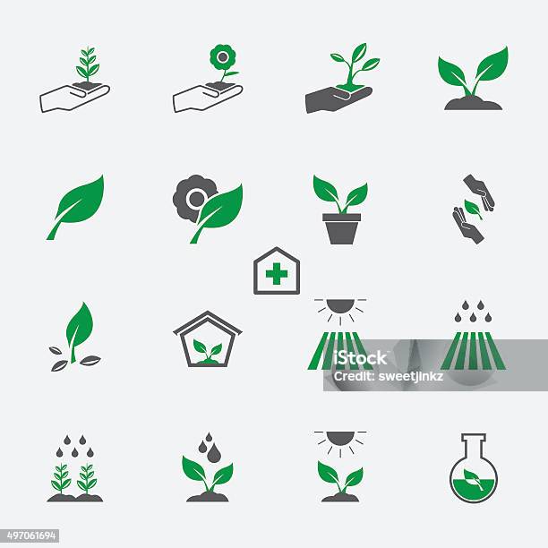 Plant Icon Set Stock Illustration - Download Image Now - Seedling, Icon Symbol, Vector